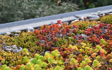 the cost of Friesthorpe green roof installation
