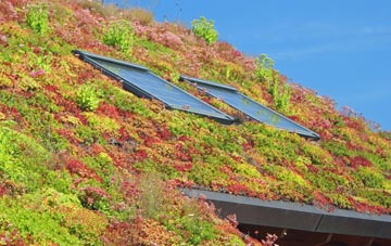Friesthorpe living roof systems