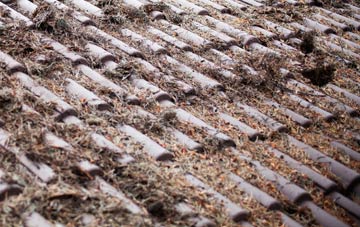 Friesthorpe roof cleaning companies